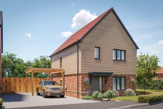 Plot 10 The Elder
