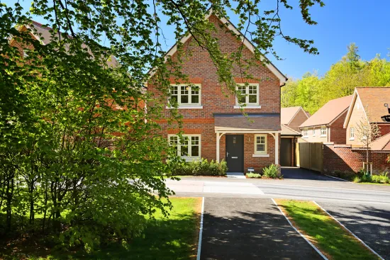 The Maple, Plot 20