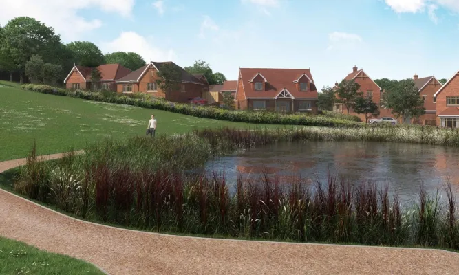Pond