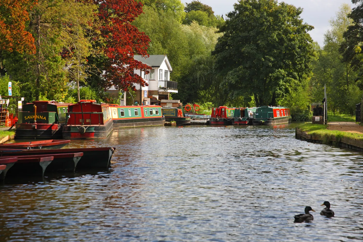 boats