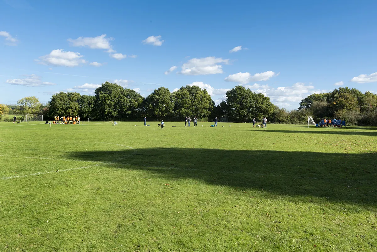 Rectory Meadows