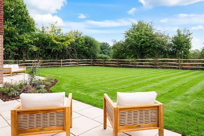 Back lawn