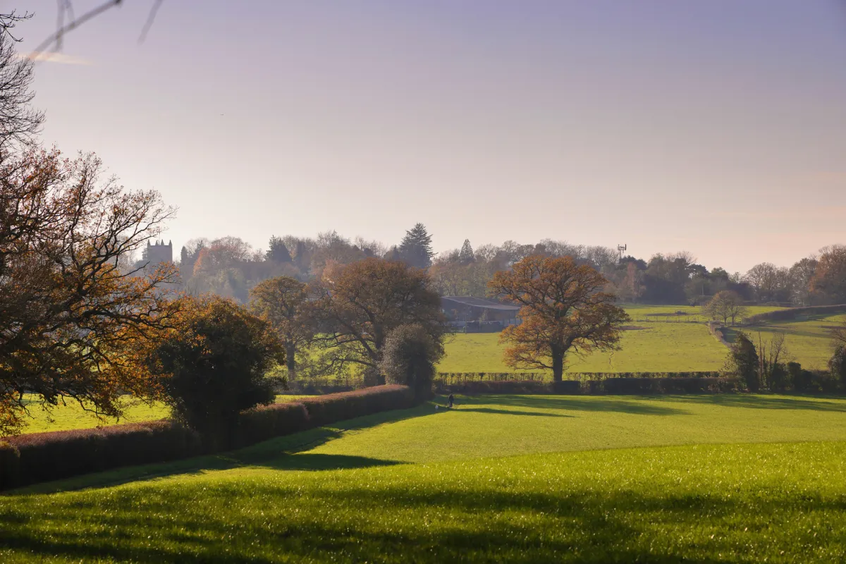 Finchampstead